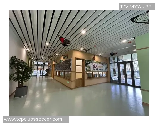 张宁的成长之路：从普通学生到杰出科研人员的奋斗历程与心路历程